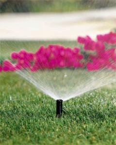 our Weston irrigation repair can give you tips on having a perfectly functioning sprinkler system