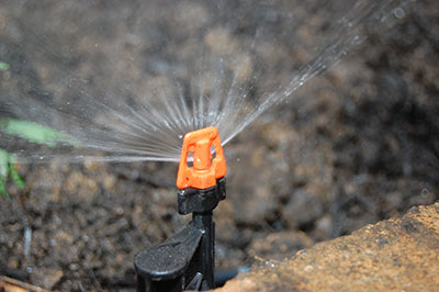 New microirrigation sprayer installation in Weston FL